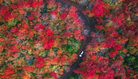 Selective Focus: Fall Colors 2023 - Perfect Duluth Day