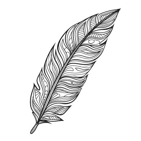 Feather With A Black Outline Sketch Drawing Vector Easy Feather Drawing ...