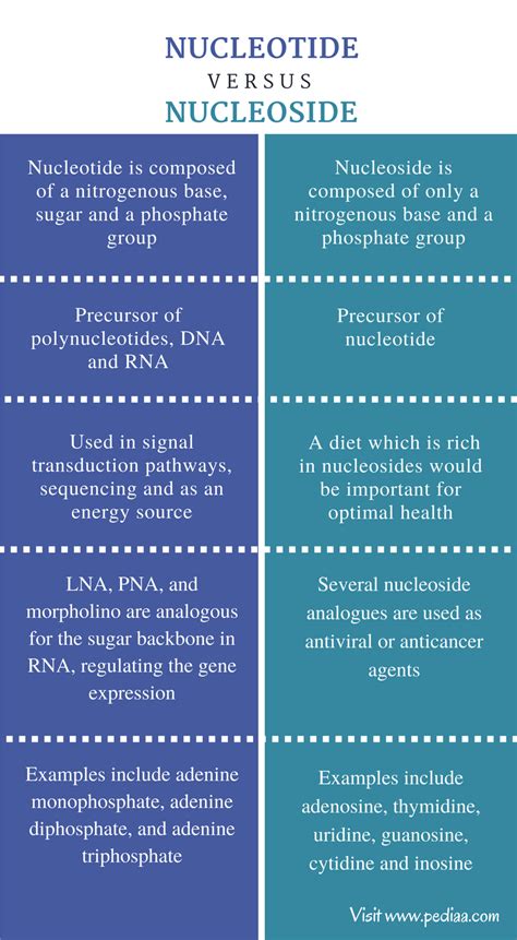 Difference Between Nucleotide and Nucleoside | Structure ...