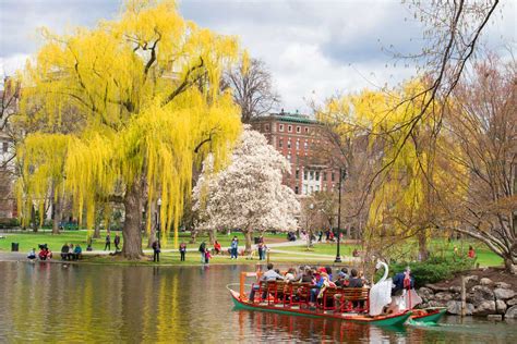 Boston Public Garden History and Information Guide