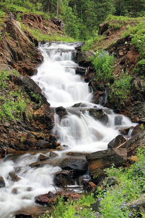 La Poudre Pass Waterfall Photograph by Elevation Gallery - Fine Art America