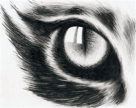 Eye of a cat by hitforsa on deviantART | Cat eye drawing, Cat eyes ...