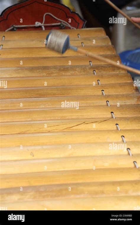 Ranat Ek (traditional Thai xylophone) performing Stock Photo - Alamy