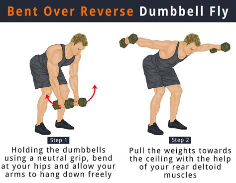 Chest Flyes Dumbbell - Cheat Dumper