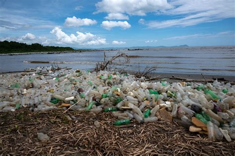 Plastic litter in oceans overestimated but could persist longer than ...