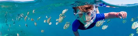 Snorkeling in PLAYA DEL CARMEN with Dressel Divers