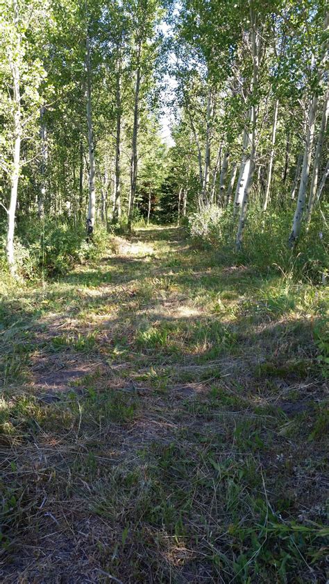 Hole 5 • Magic Mountain Ski Resort (Hansen, ID) | Disc Golf Courses ...