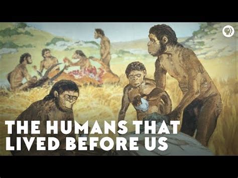 Why Ancient People Did Not Harm Nature | Literature 2024