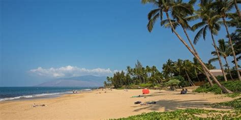 Maui Coast Hotel (Maui, HI): What to Know BEFORE You Bring Your Family