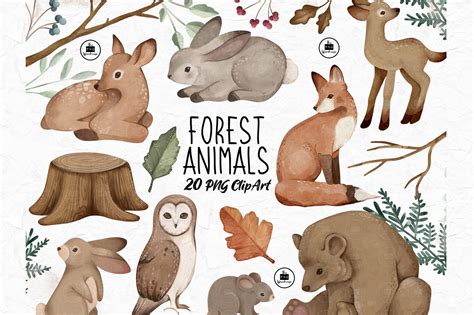 Forest Animals - PNG Clipart Set Graphic by The PNG Warehouse ...