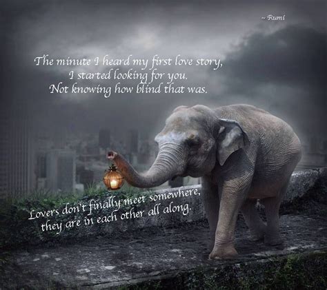 Inspirational quotes | Elephant quotes, Elephant, Elephant love