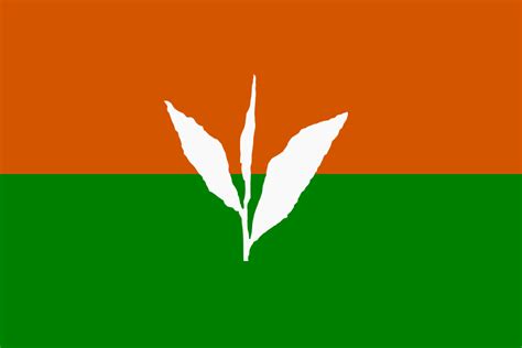 India Subdivision Flag Project | alternatehistory.com