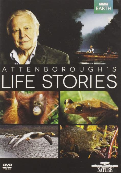 Amazon.com: Life Stories (David Attenborough) (DVD) : Various, Various ...