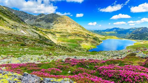 Retezat Mountains Romania - RomaniaTourStore