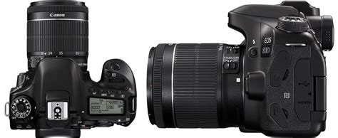 Canon 90D vs 80D (2021): Time for an Upgrade? - Compare Before Buying