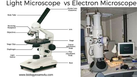 Difference between Light Microscope and Electron Microscope (Light ...