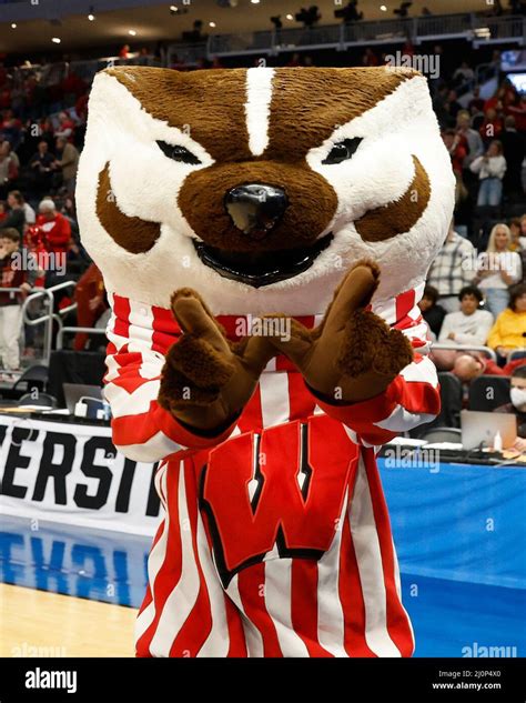 Wisconsin badgers mascot bucky badger hi-res stock photography and ...