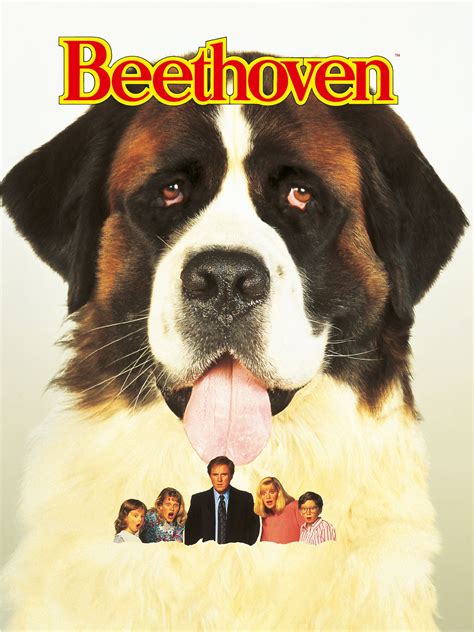 Beethoven Puppies