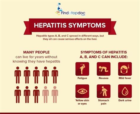 Is Hepatitis B Contagious? Acute vs. Chronic Hepatitis B Infection