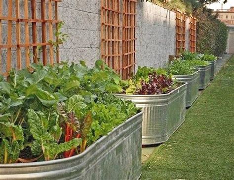 15 Raised Bed Garden Design Ideas