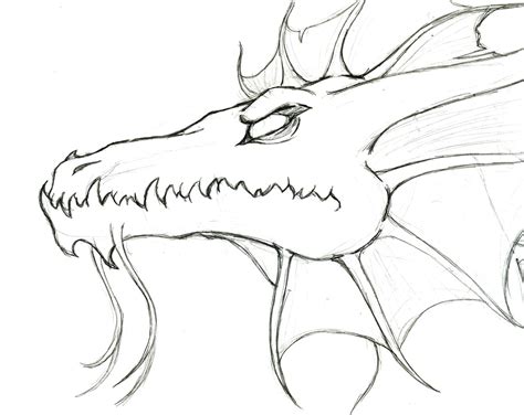 Water Dragon Drawing at GetDrawings | Free download