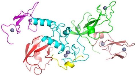 Tackling the mysteries of protein folding | Technology Networks