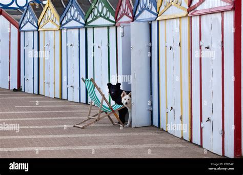 Beach Huts Great Yarmouth Stock Photo - Alamy