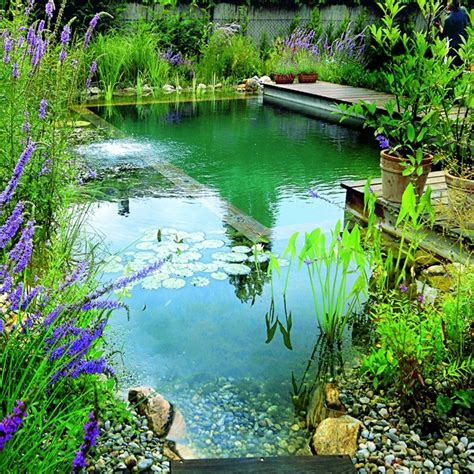 Brilliant Natural Swimming Pools