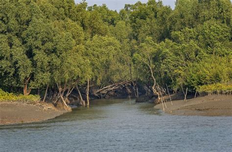 Picturing the Sundarbans, a Region in Crisis - Waterkeeper