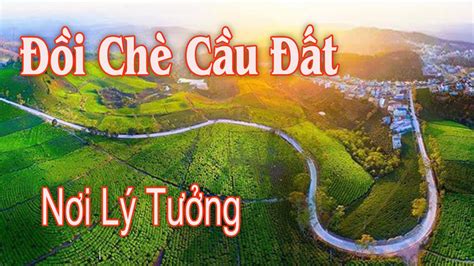 Đà Lạt 2021 (4K) | Du Lịch Đồi Chè CẦU ĐẤT | Nơi Lý Tưởng Không nên bỏ ...