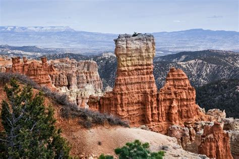 Geological Features at Bryce Canyon Landscape, USA Stock Image - Image ...