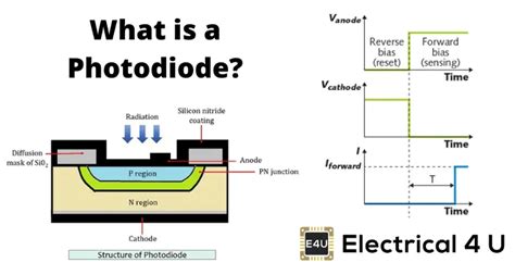 How Photodiodes Work and Their Applications | Electrical4U