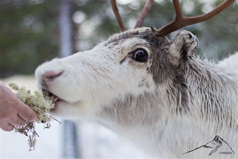 Winter in Finnmark – From Darkness to Light – Jonathan Deges