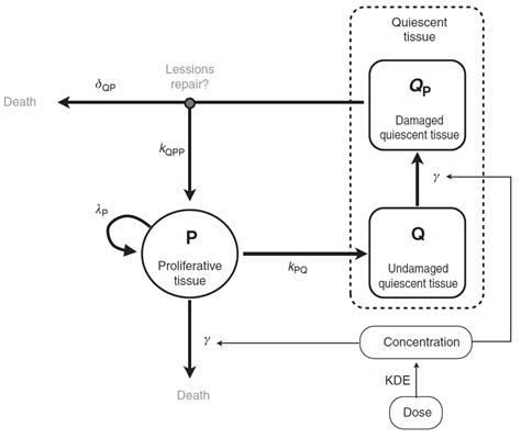 Tumor growth inhibition model exploration - Mlxplore