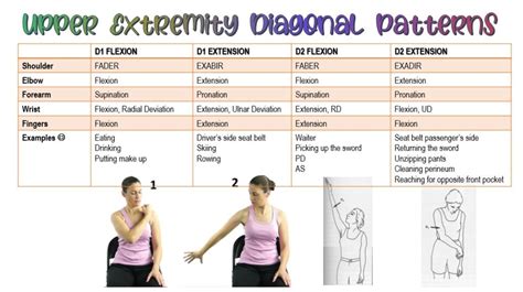 Shoulder Flexion D2 Extension