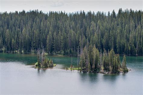 Grand Mesa National Forest – Western Colorado | Biking, Boating ...