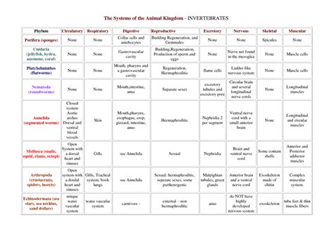 Animalia Analysis - Biology 11