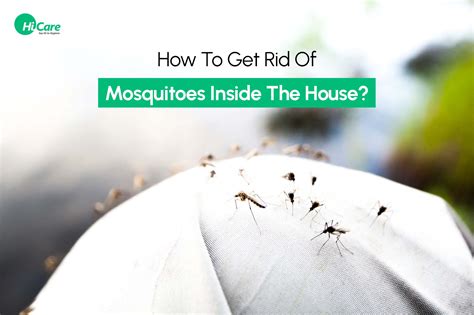 How to Get Rid of Mosquitoes in the House and Outdoor? 21 Tips