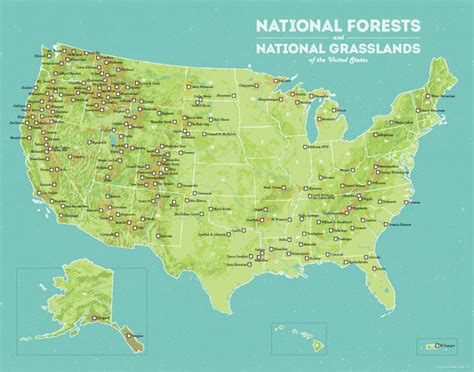 US National Forests Map 11x14 Print