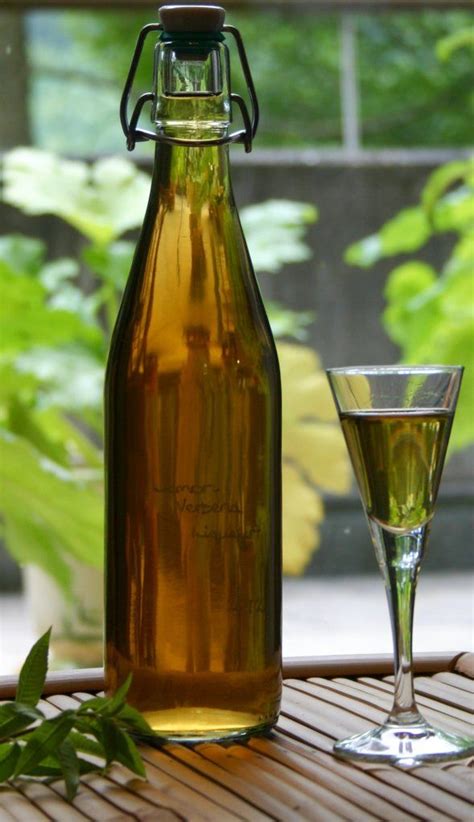 Lemon Verbena Liqueur – Words and Herbs | Lemon verbena recipes, Lemon ...