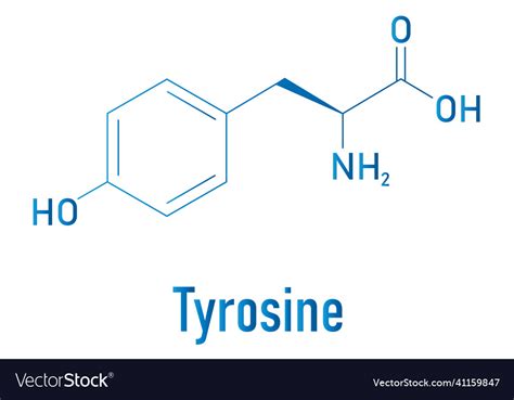 Tyrosine amino acid molecule skeletal formula Vector Image