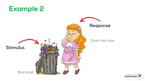 Responding To Internal Stimuli