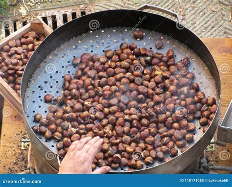 Roasting Chestnuts Outdoor in a Pan . Tuscany, Italy Stock Image ...