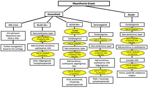 Myasthenia Gravis In Children