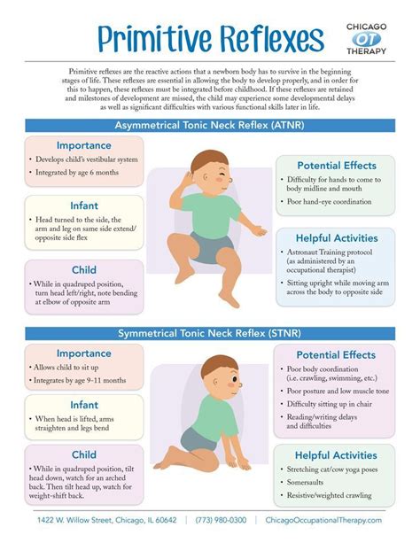 Primitive Reflexes Infographic Occupational Therapy Schools, Pediatric ...