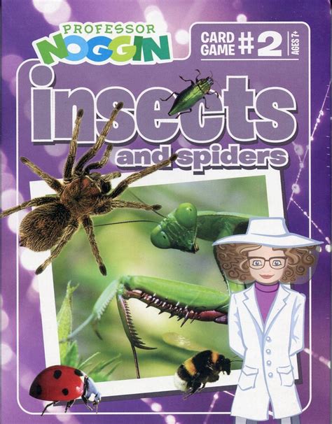 Insects & Spiders Game (Professor Noggin's®)