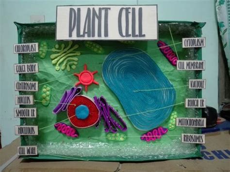 3d animal cell model in a shoebox - cindimiyahara