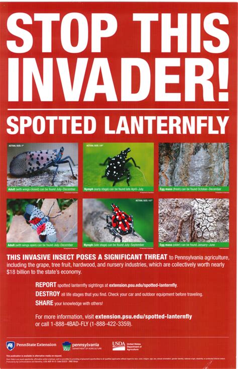 Spotted Lantern Fly Information – Montour County Emergency Management ...