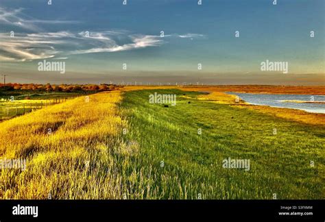 View on Rye Harbour Nature Reserve Stock Photo - Alamy