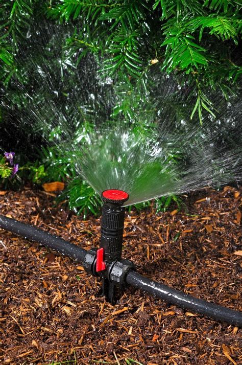 Above Ground Irrigation Systems for Landscaping | DIY Sprinkler System ...